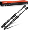 A-Premium Front Hood Lift Supports Shock Struts Compatible with Dodge