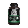Pure Original Ingredients Wheat Grass (365 Capsules) No Magnesium Or