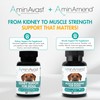 AminAmend Muscle Support Dog Supplements for Large Breed (21lbs+) with