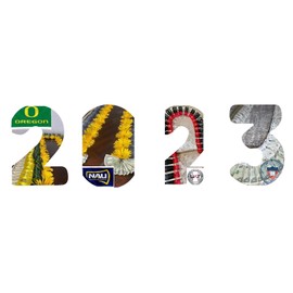 graduation money lei