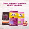 Wellness Petite Entrees Mini Filets Grain Free Natural Wet Small
