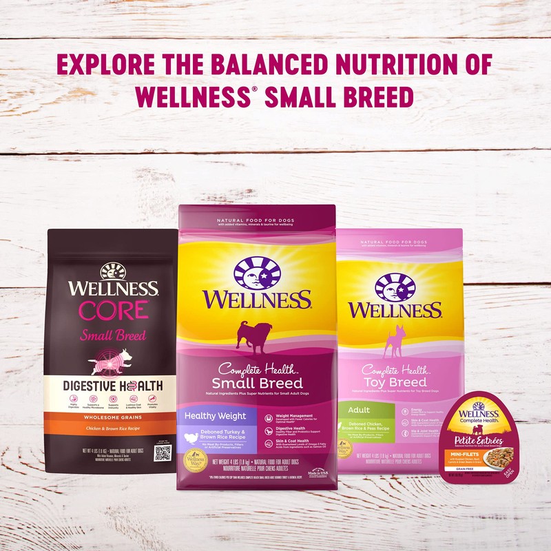 Wellness Petite Entrees Mini Filets Grain Free Natural Wet Small