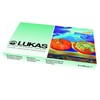 NERCHAU Lukas Studio Goauche Premium Quality Artist Gouache Starter Set
