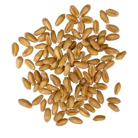 Palouse Brand Certified Glyphosate Residue Free Soft White Wheat Berries | 3 LBS | Family Farmed in Washington State | Non-GMO Project Verified | Kosher | Field Traced