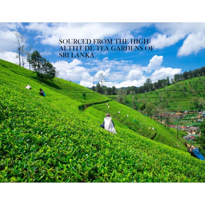 Ceylon Green Tea Gun Powder GP1 - High Grown Loose