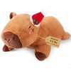 Bobbie & Laxi 25" & 4.5 lbs Capybara Weighted Stuffed