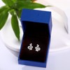Qings Silver Snake Stud Earrings Simple and Exquisite Anti-Red Eye