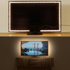 8mm 2 pin FCOB COB LED Strip Light Connector Kit,