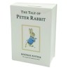 Beatrix Potter A28347 The Tale of Peter Rabbit Money Bank