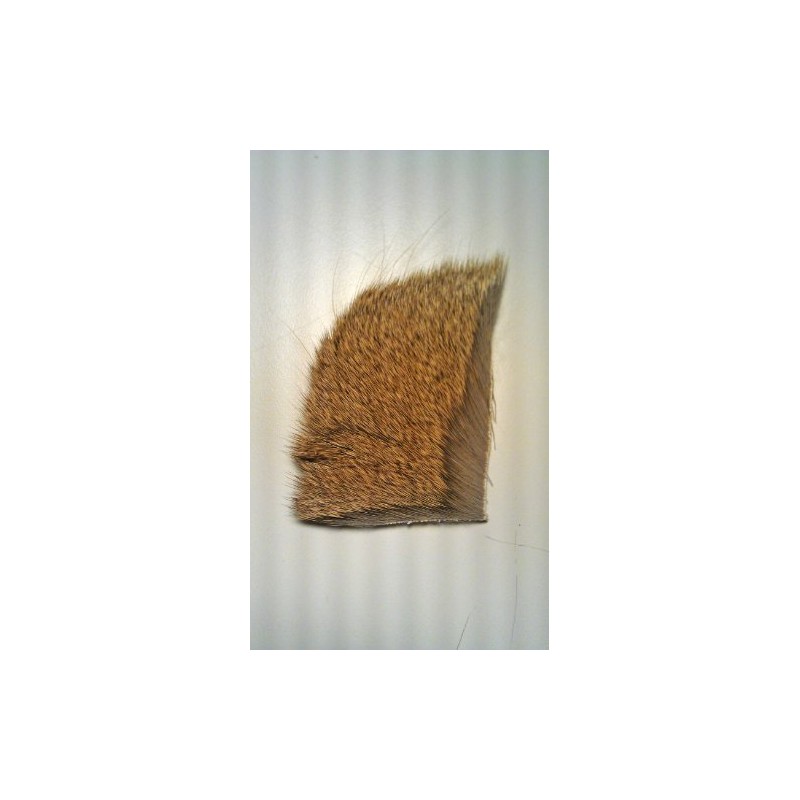 Deer Hock (1 ½" x 2") (Natural (DHN-01-48))