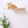 Cat Hammock, Cat Wall Shelves Bed with 2 Steps Perches