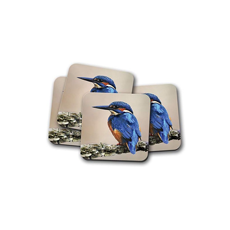 4 Set - Blue Kingfisher Coaster - Bird Indigo Wildlife