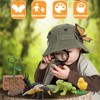 Montessori Frog Life Cycle Flash Cards, Plastic Insects Tadpole to