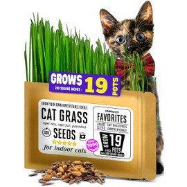 CAT Grass Seeds Favorites Blend Grows *19* Pots of Fresh & Nummy Cat Grass for Indoor Cats - Easy! Fast! Over 7,000 Tender Wheatgrass and Smooth Ryegrass Seeds