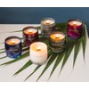 Stoneglow Candle Infusion Collection Clarity Cashmerian Woods & Saffron