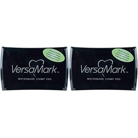Tsukineko VM000001 Full-Size VersaMark Pigment Inkpad, 3-Inch X 2-Inch, Clear (2)
