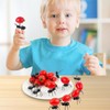 Pack of 72 Ant Toothpicks, Food Picks, Reusable Mini Fruit