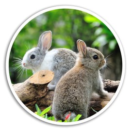2 x 10cm Cute Bunnies Vinyl Stickers - Rabbit Fun Sticker Laptop Luggage #8284 (10cm Wide)