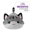 Onsoyours Original Weighted Panther Cat Plush, Cute 9.8"|1.0 lbs Hugging