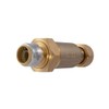 Cash Acme 1 Inch x 3/4 Inch BF5 Dual Check