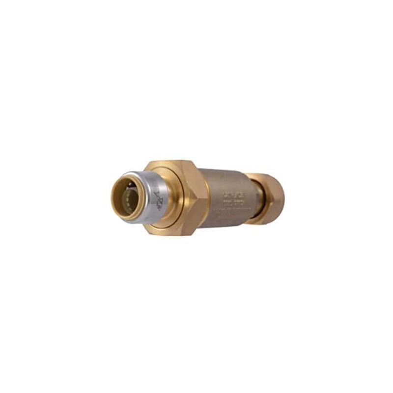 Cash Acme 1 Inch x 3/4 Inch BF5 Dual Check