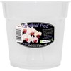 Clear Orchid Pot 15 cm