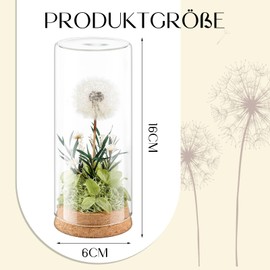 Blulu Dandelion Wish Filler Gifts for Women Real Dandelion in Glass Preserved Flowers in Glass Gifts for Birthday Wedding Christmas Mum Grandma Girlfriend