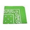 LIME GREEN bandana BLACK WHITE PAISLEY border