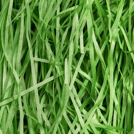 500 g Shredded Paper Green, Paper Filling Material for Packages, Soft Gift Filling Material for Gift Box/Baskets and Cardboard, Provide Good Protection and Decoration for Gifts