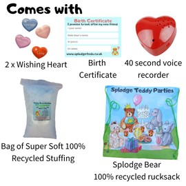 Frog - Plush Soft Toy - 16 inch/ 40cm - Build make your own Teddy Bear Kit with Voice Recorder