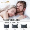 Safe and Sound 2 Pack Pillow Protector, Standard Size Zipper