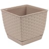 Prosper Plast DRLK250-7529U 25 x 25 x 22 cm "Ratolla"