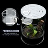 Jumping Spider Enclosure Starter Kit with Feeding Dish, Tarantula Terrariums