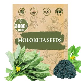 Premium Egyptian Spinach (Molokhia) Seeds – 3000+ Non-GMO, Heirloom Saluyot Seeds for Planting – Fast-Growing, Nutrient-Rich & High-Yield
