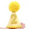 Pet Birthday Hat with Interchangeable Numbers 1-10 | Adjustable Pet
