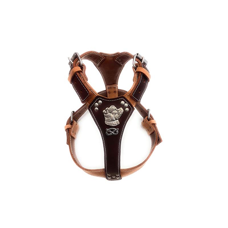 Two Tone Leather Dog Harness with Staffordshire Bullterrier Head Motif
