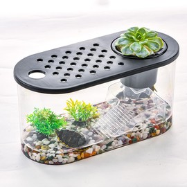 Small Turtle Tank Habitat Kit, Reptile Tank Turtle Aquarium with Basking Platform, Decor Stones and Water Grass Decorations for Home or Office, 1 Gallon