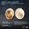 Everflow Supplies BRCPM034-NL 3/4" Adapter Fitting with a Brass Male