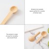 30 Pieces Spice Spoons, 1 Piece Storage Bag, Mini Wooden