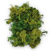 Netuno Decorative Moss Dark Green 30 g Natural Moss Reindeer
