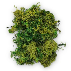 Netuno Decorative Moss Dark Green 30 g Natural Moss Reindeer Moss for Crafts and Decorating Model Making DIY Real Moss Iceland Moss Craft Moss Easter Decoration Christmas Decoration Floristry