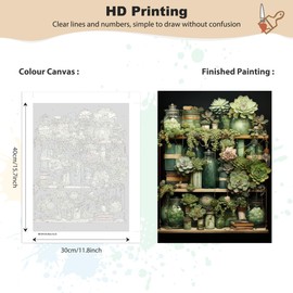 MEIYUDA Paint by Numbers Adults with Frame Succulent, Paint by Numbers, DIY Set with Brushes and Acrylic Paints, Hand Painted Oil Painting Canvas for Home Décor, 30 x 40 cm