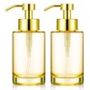 2 Pack Glass Soap Dispenser with Plastic Pump, 12oz Thick