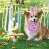 HACRAHO Dog Birthday Party Supplies, 3 Pieces Dog Birthday Bandana