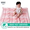 Bernat Baby Blanket Dappled Peachy KEEN Yarn - 2 Pack