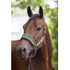 LeMieux Vogue Fleece Headcollar with Lead Rope in Hunter Green