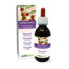 Ashwagandha or Indian Ginseng (Withania somnifera) Roots Alcohol-Free Mother Tincture