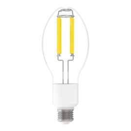 RAB ED23.5 LED Filament Bulb 3600 lm 20W =70W 5000K 120-277V Medium Base