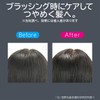 Koizumi KHR-6900/H Iron Brush, Ion Balance Salon Sense 300, International