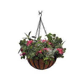 Border Concepts 72517 All Natural Preformed Coconut Liner Replacement for Hanging Basket, 12-Inch